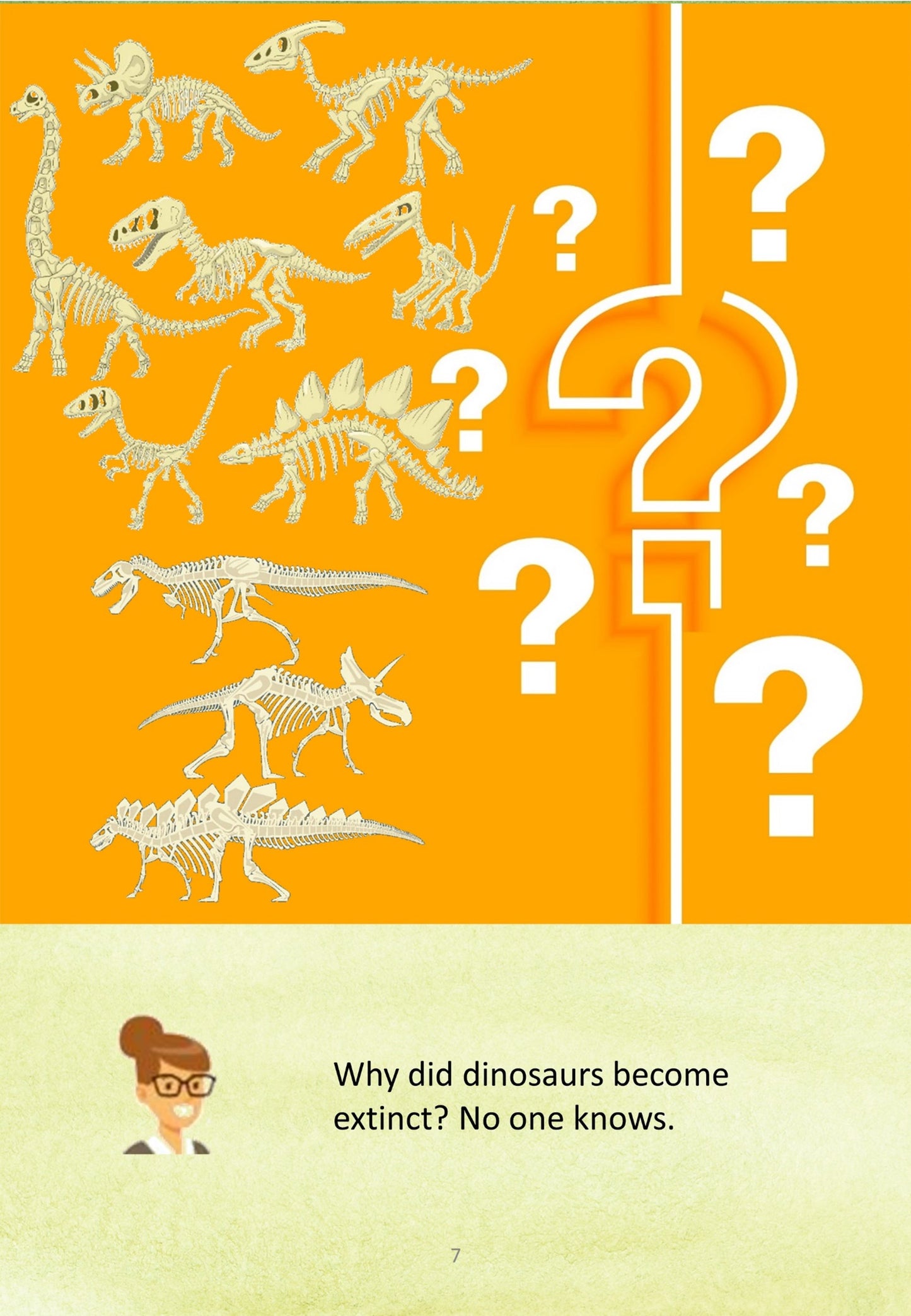 Dinosaurs in a Museum