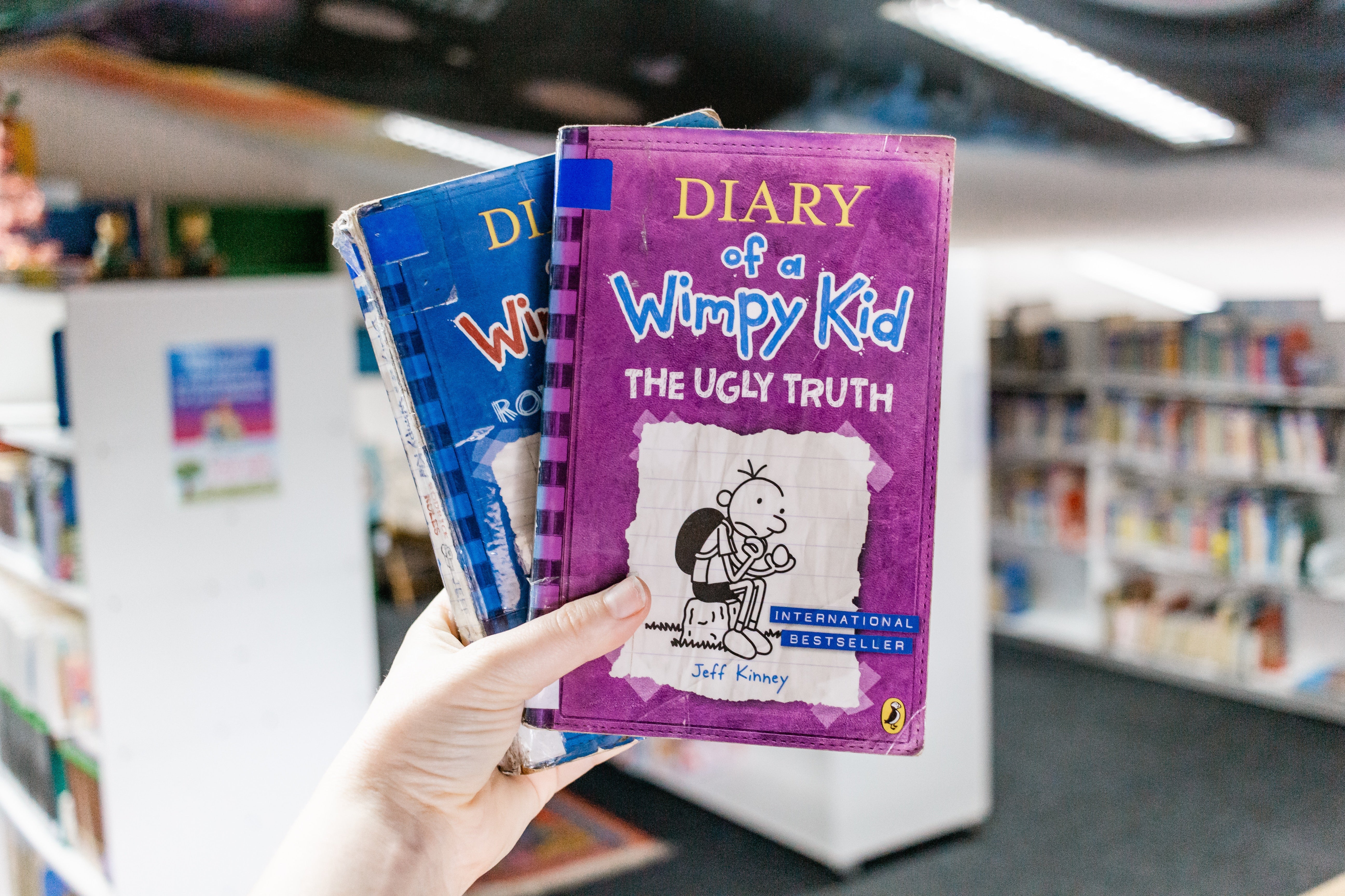Bilingual books – eFunReading Bookstore