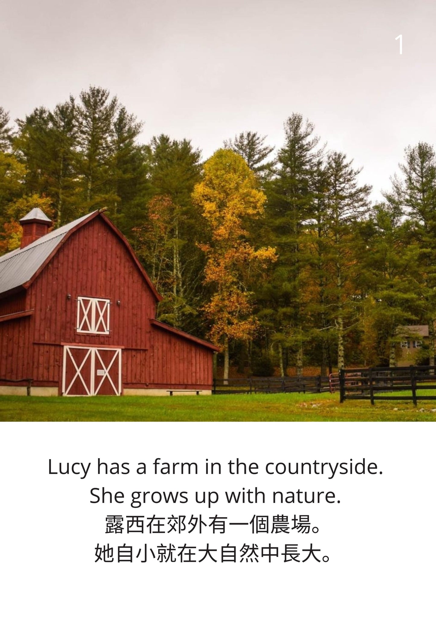 The Fabulous Farm    奇妙的農場