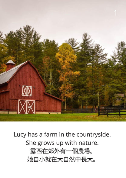 The Fabulous Farm    奇妙的農場