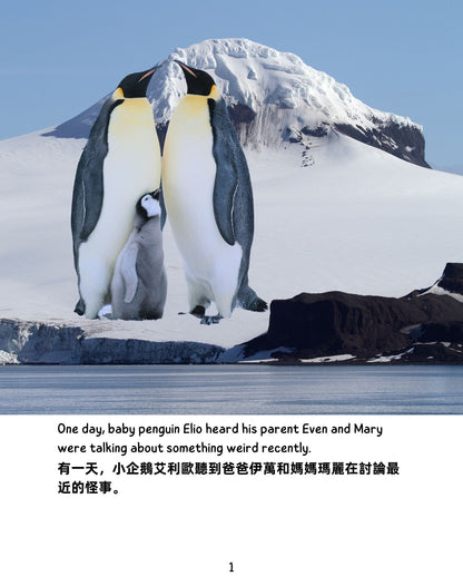 Frozen Adventure  冰雪歷險記