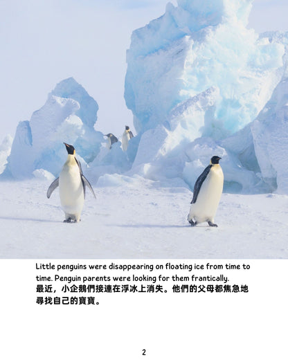 Frozen Adventure  冰雪歷險記