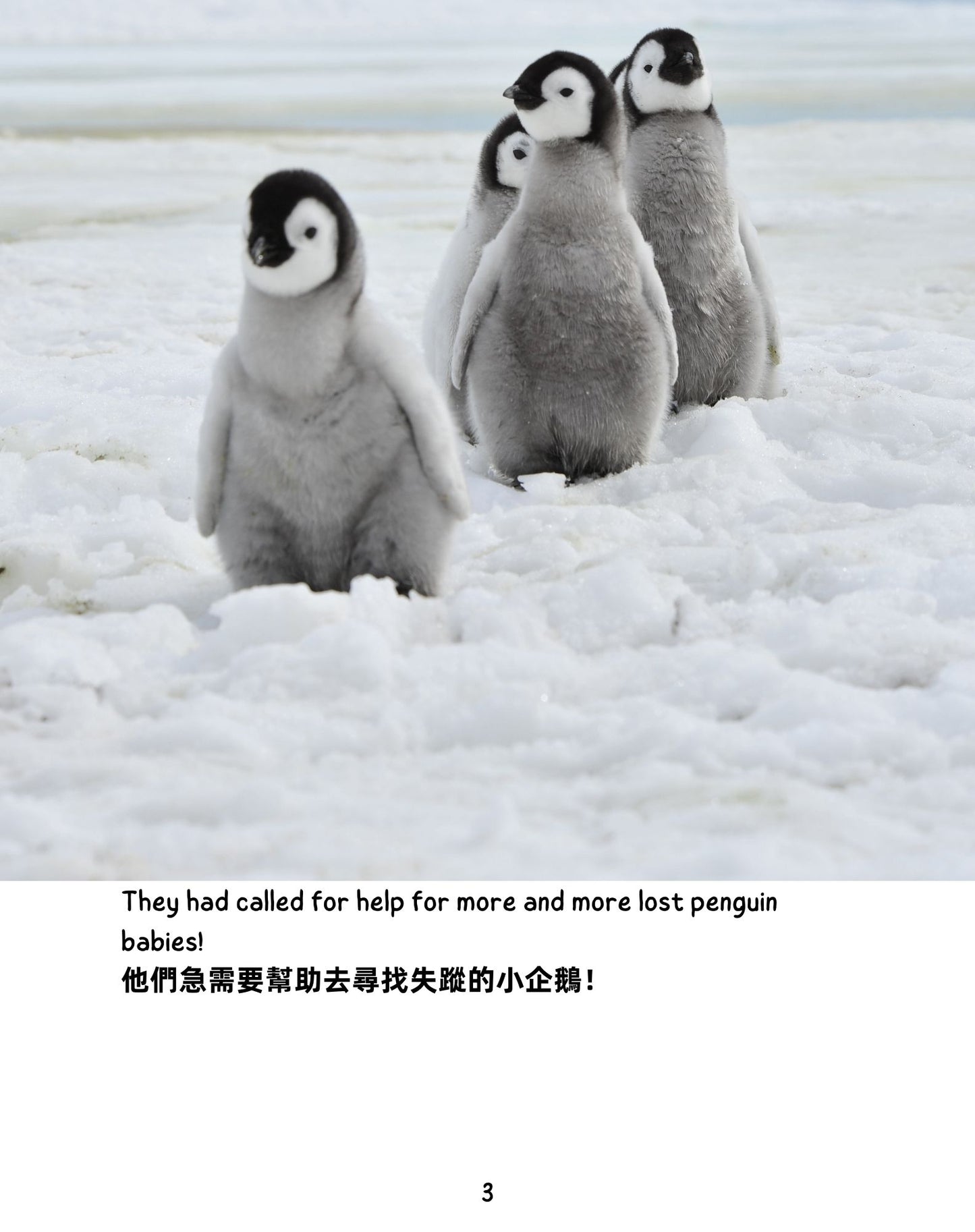 Frozen Adventure  冰雪歷險記