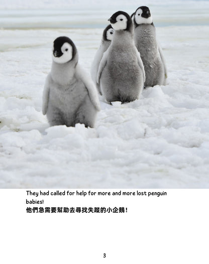 Frozen Adventure  冰雪歷險記