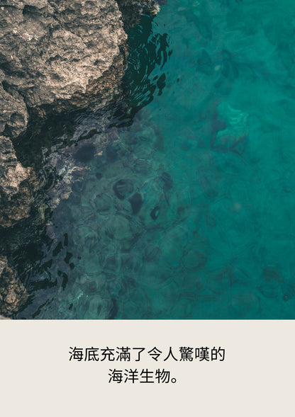 The Ocean Dive   潛行海洋