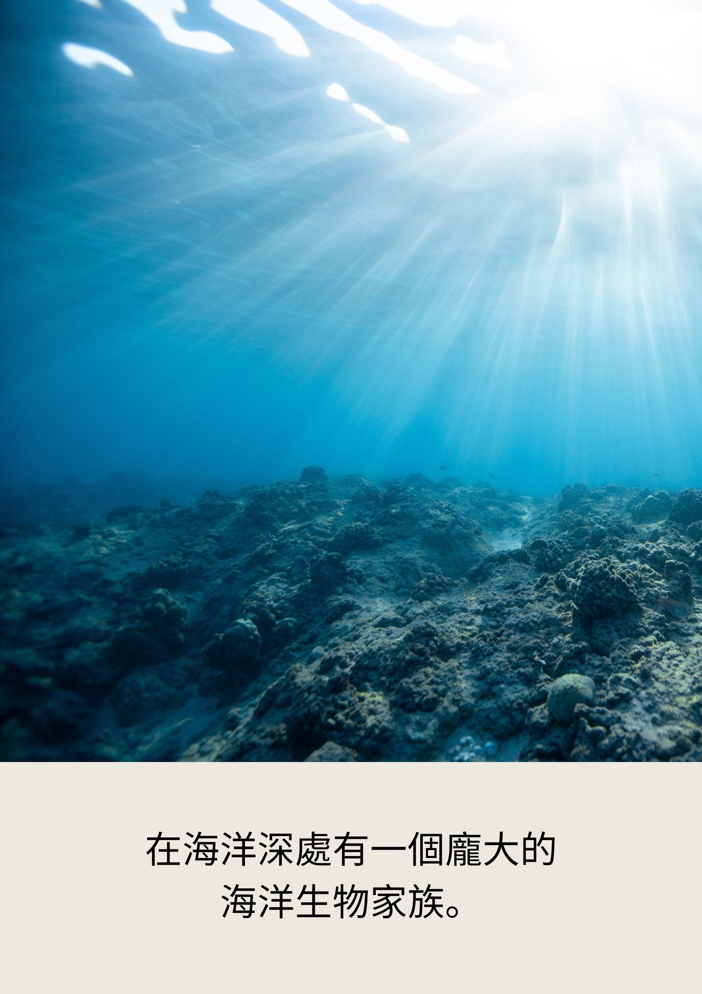 The Ocean Dive   潛行海洋