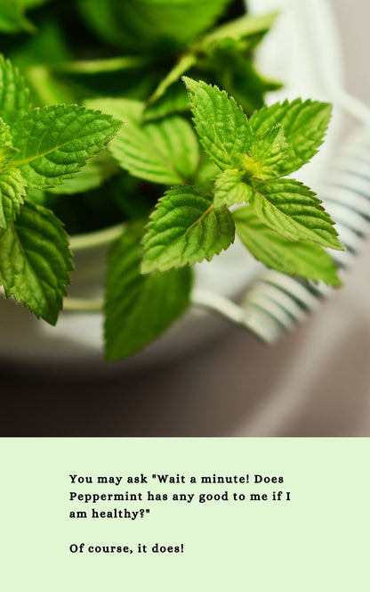 Pinning Peppermint