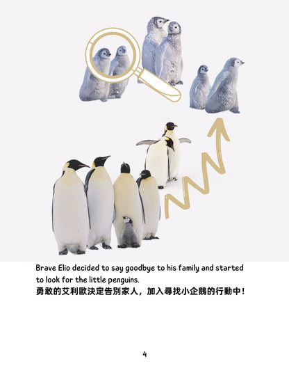 Frozen Adventure  冰雪歷險記