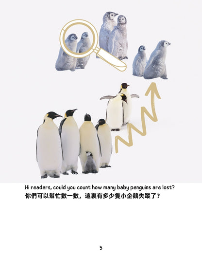Frozen Adventure  冰雪歷險記