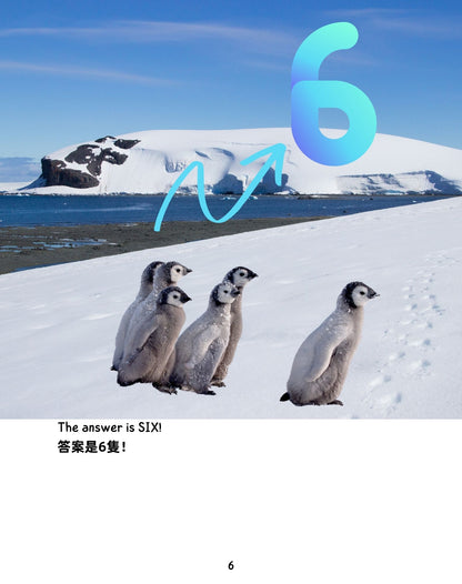 Frozen Adventure  冰雪歷險記